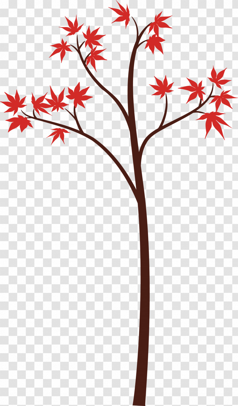 Plant Flower Tree Leaf Maple Transparent PNG