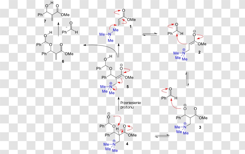 Baylis–Hillman Reaction Chemical 4-Dimethylaminopyridine Coupling Mechanism - Bundesimmobiliengesellschaft Mbh Transparent PNG