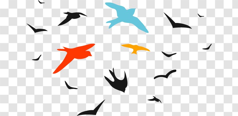 Bird Flock - Fauna Transparent PNG