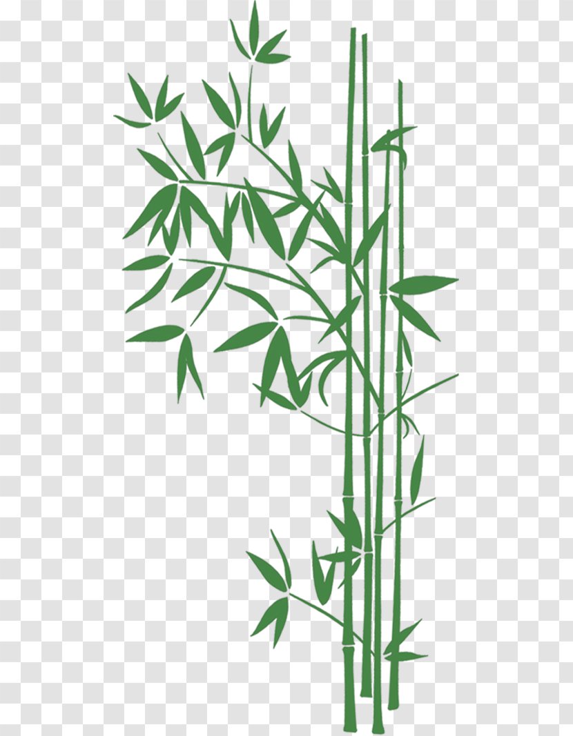 Bamboo Desktop Wallpaper High-definition Television Clip Art - Widescreen Transparent PNG