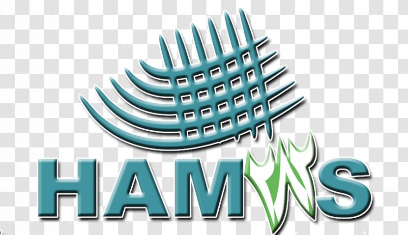 Hamas Himpunan Mahasiswa Jurusan STEI Tazkia Accounting Logo - Drink Transparent PNG