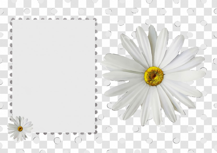 Floral Design Transparent PNG