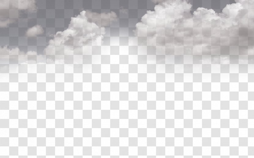 The Killers Desktop Wallpaper Download 1080p - Flower - White Clouds Transparent PNG