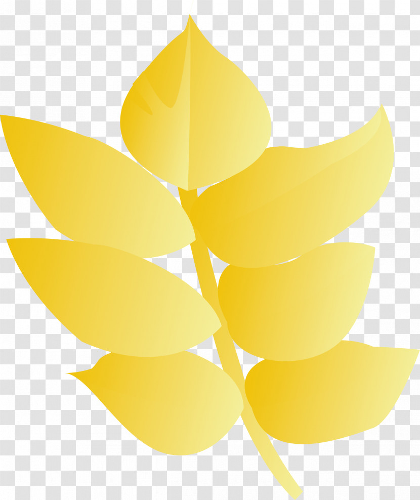 Yellow Leaf Plant Flower Transparent PNG
