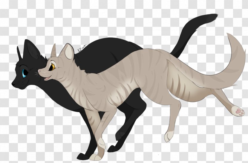 Cat Warriors Crowfeather Leafpool Art - Fictional Character - Beautiful Shading Transparent PNG