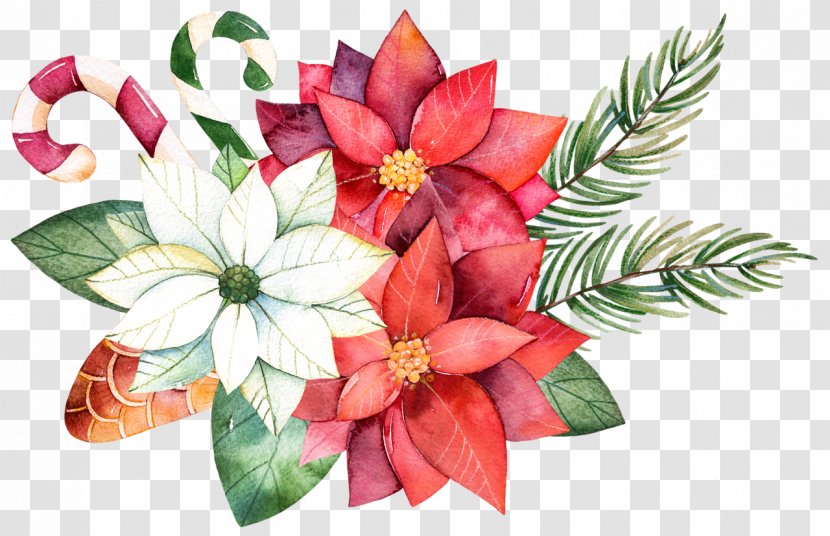 Floral Design Flower Bouquet Poinsettia Christmas Day - Botany - Red White And Blue Fireworks Transparent PNG