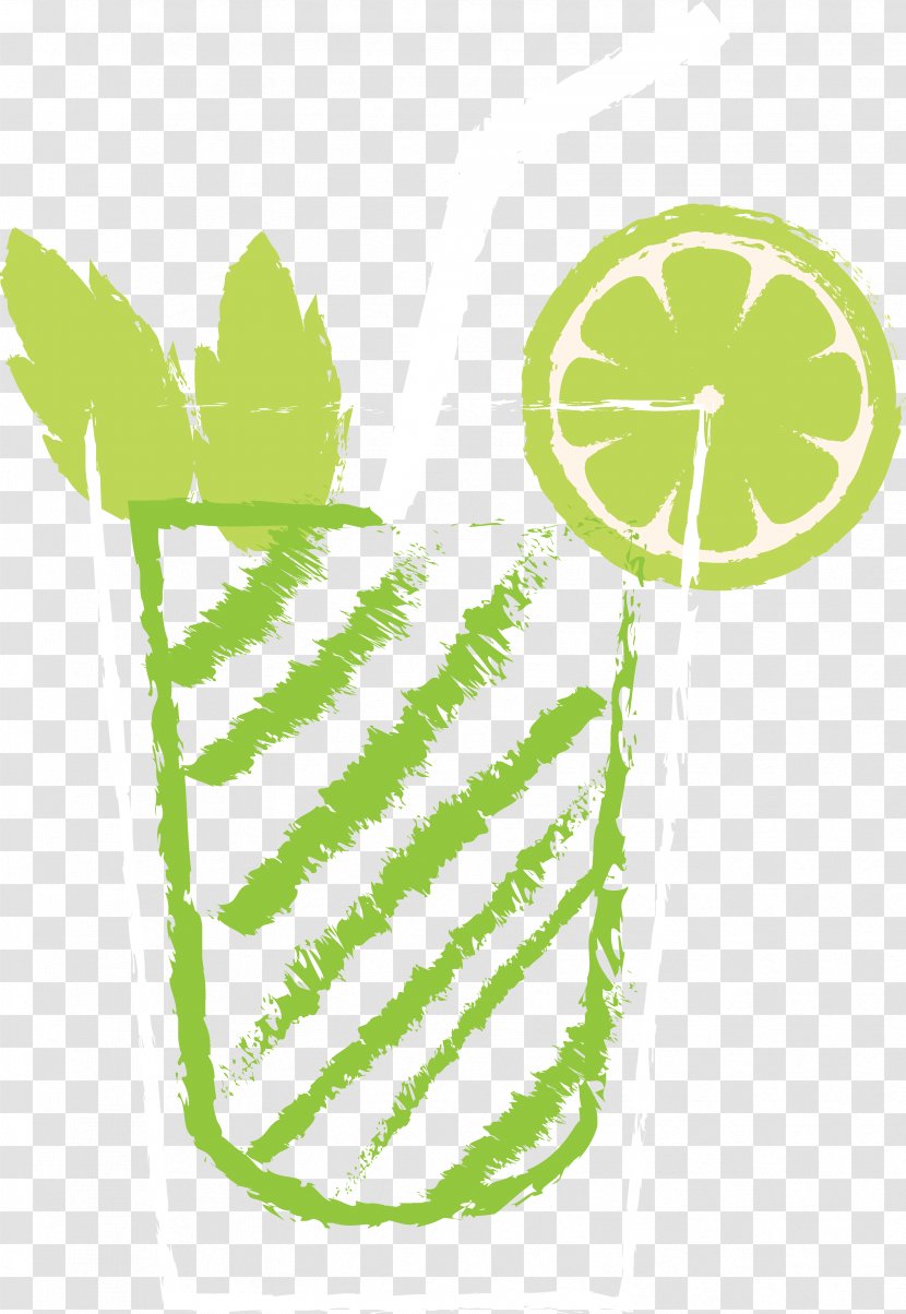 Juice Mojito Fruit Cocktail Drink - Plant Transparent PNG