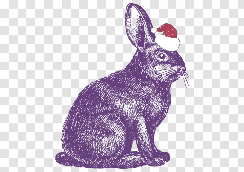 Rabbit Show Jumping Drawing Illustration - Vector Purple Transparent PNG