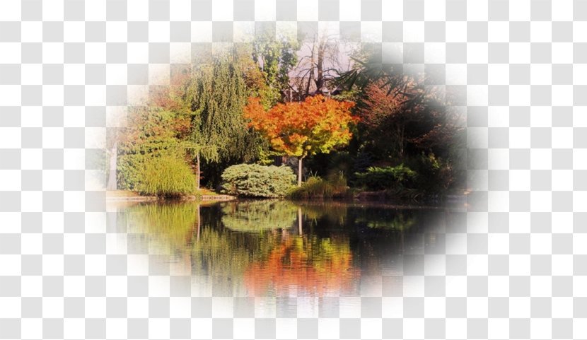 Nature Landscape Pond Leaf - Pas De Deux Transparent PNG