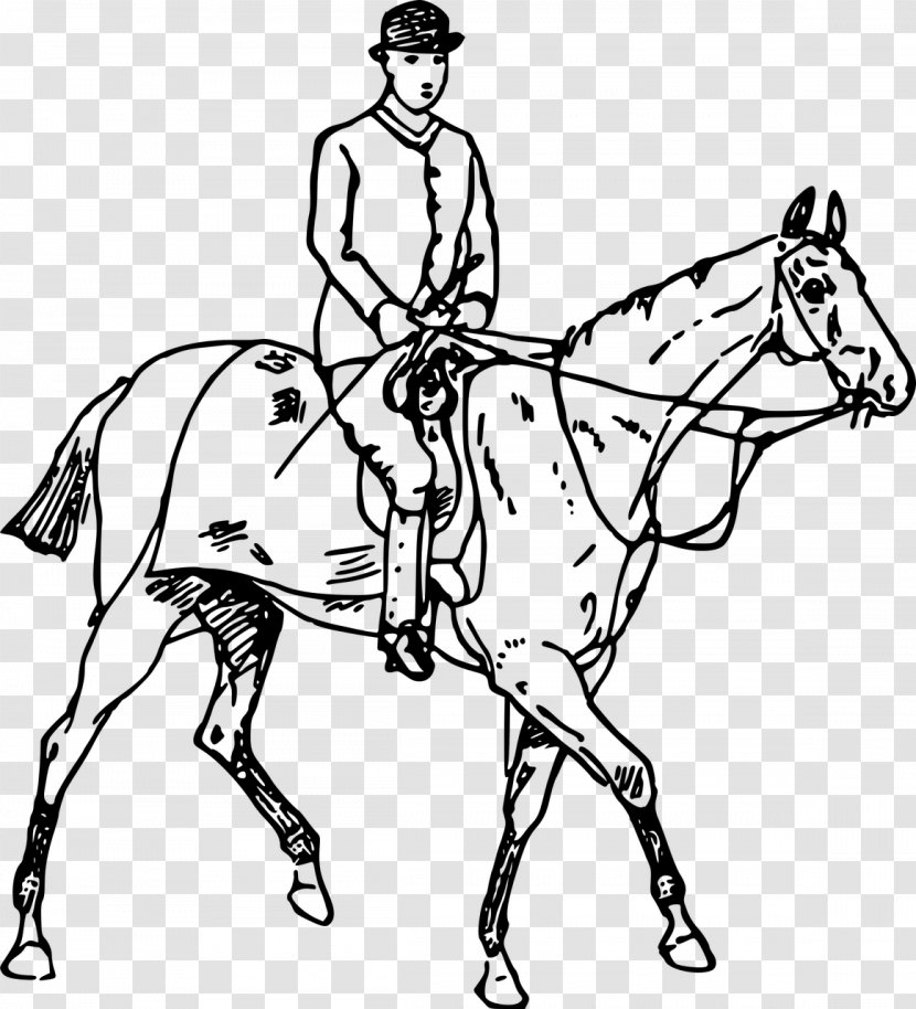 Horse Equestrian Drawing Coloring Book Clip Art Transparent PNG