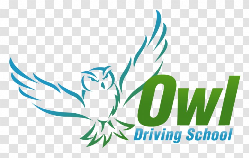 Owl Driving School Instructor Learning - Plant Transparent PNG
