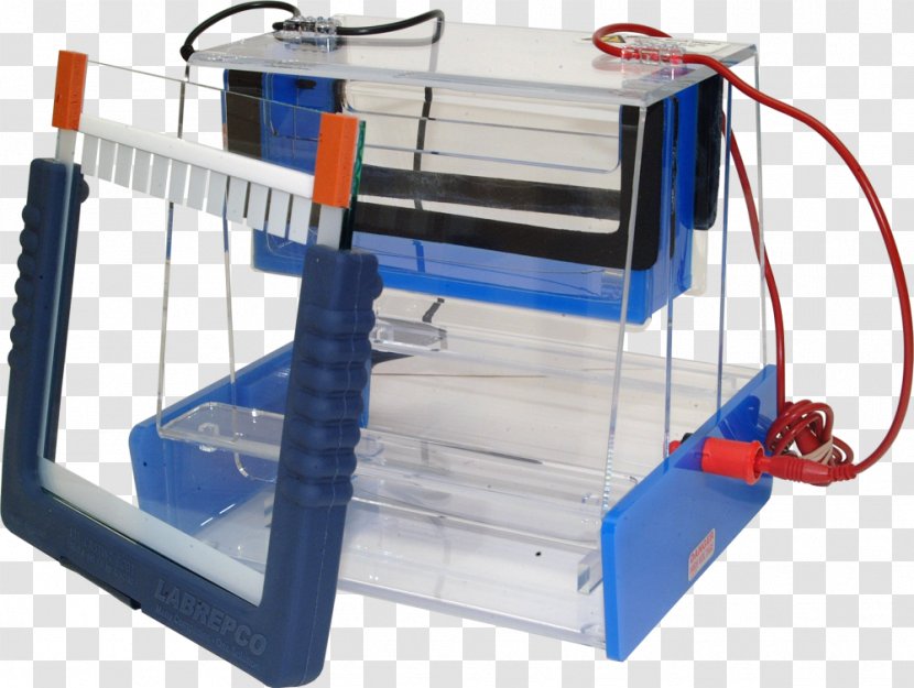 Polyacrylamide Gel Electrophoresis - Glass Samples Transparent PNG