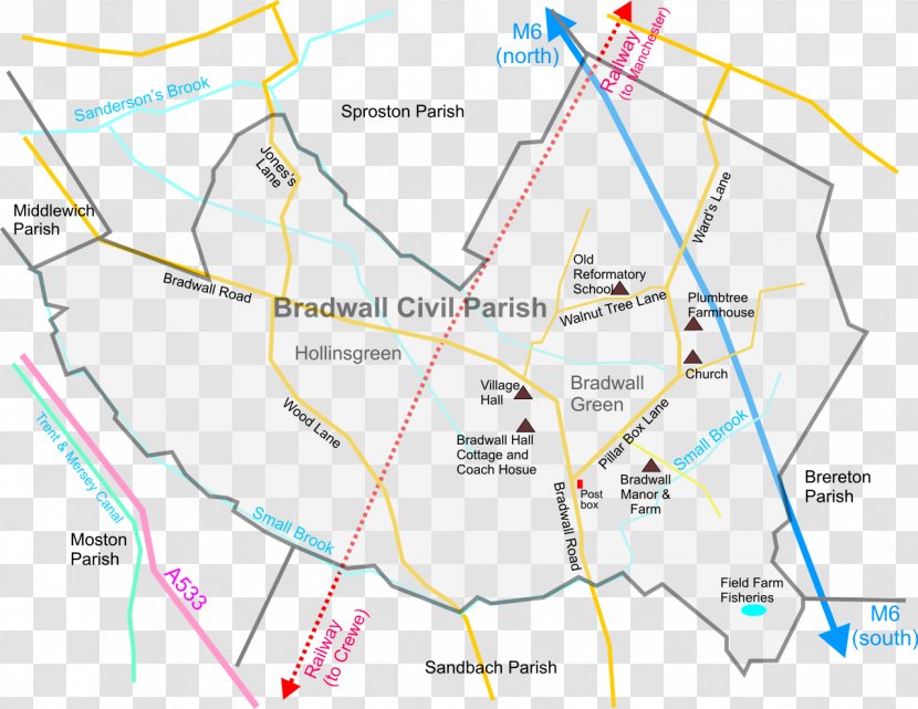 Line Point Angle Land Lot Map - Tuberculosis Transparent PNG