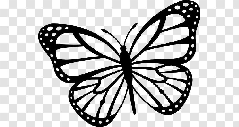 Butterfly Clip Art Black And White Drawing Image - Insect Transparent PNG