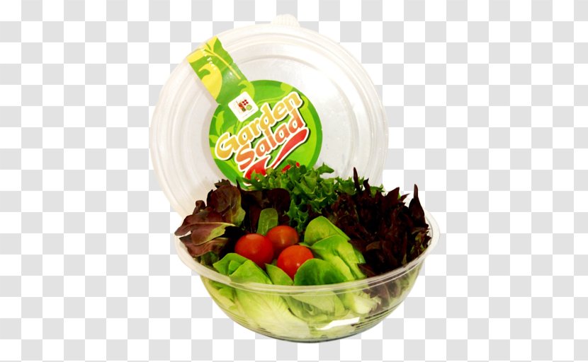 Lettuce Vegetarian Cuisine Natural Foods Recipe - Food - Salad Transparent PNG