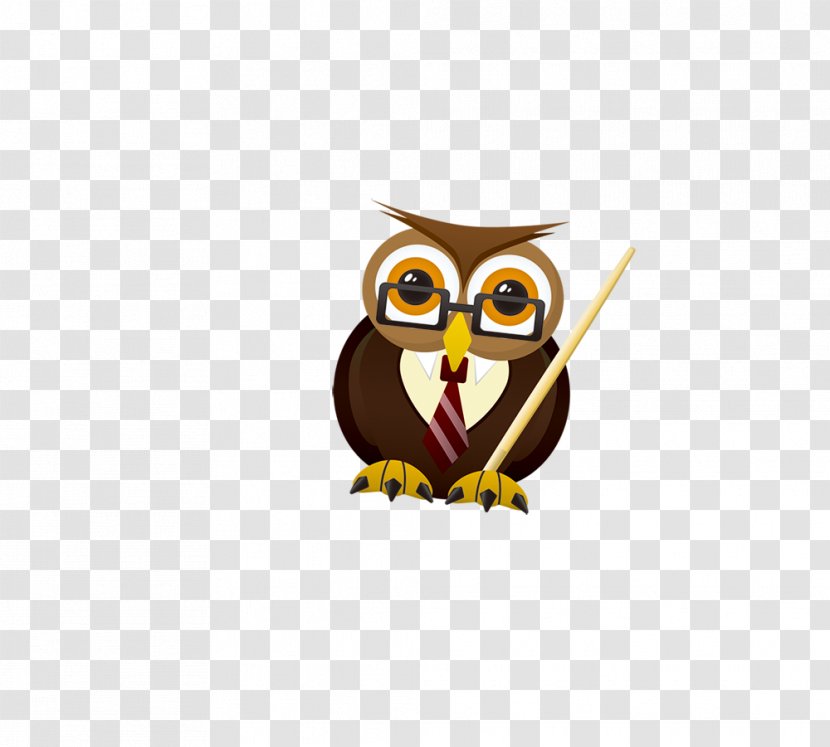 Owl Bird - Teacher Transparent PNG