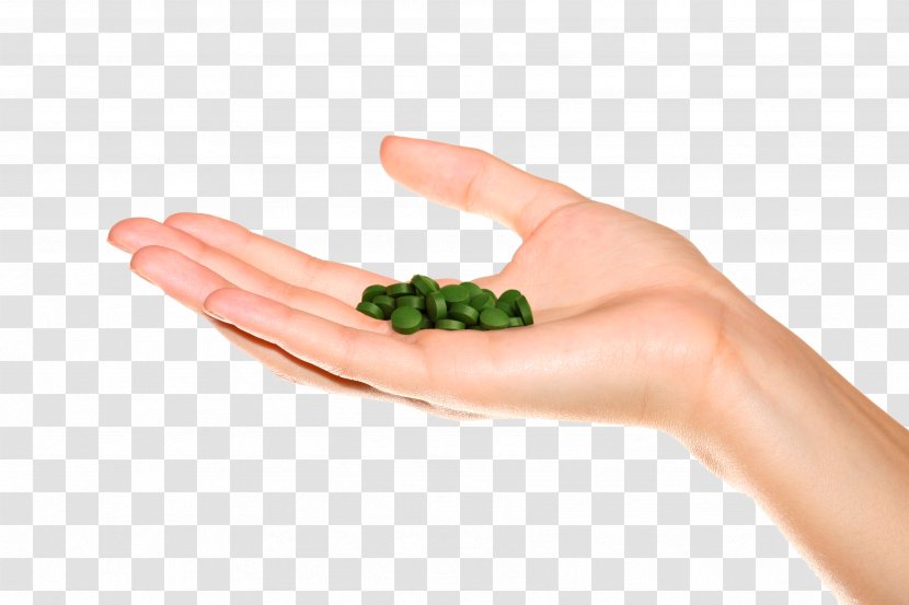 Chlorella Pyrenoidosa Algae Food Hand Model Thumb - Earth Transparent PNG