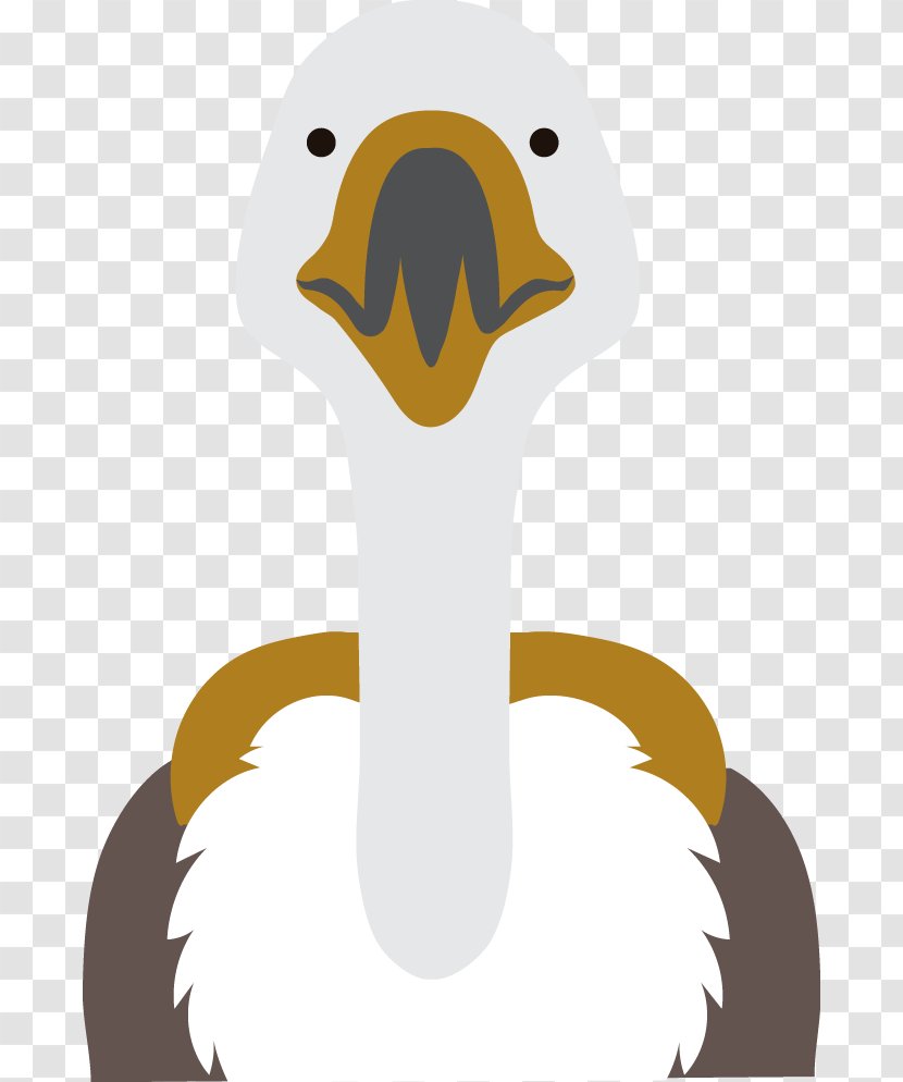 Common Ostrich Duck Clip Art - Carnivoran - Vector Transparent PNG