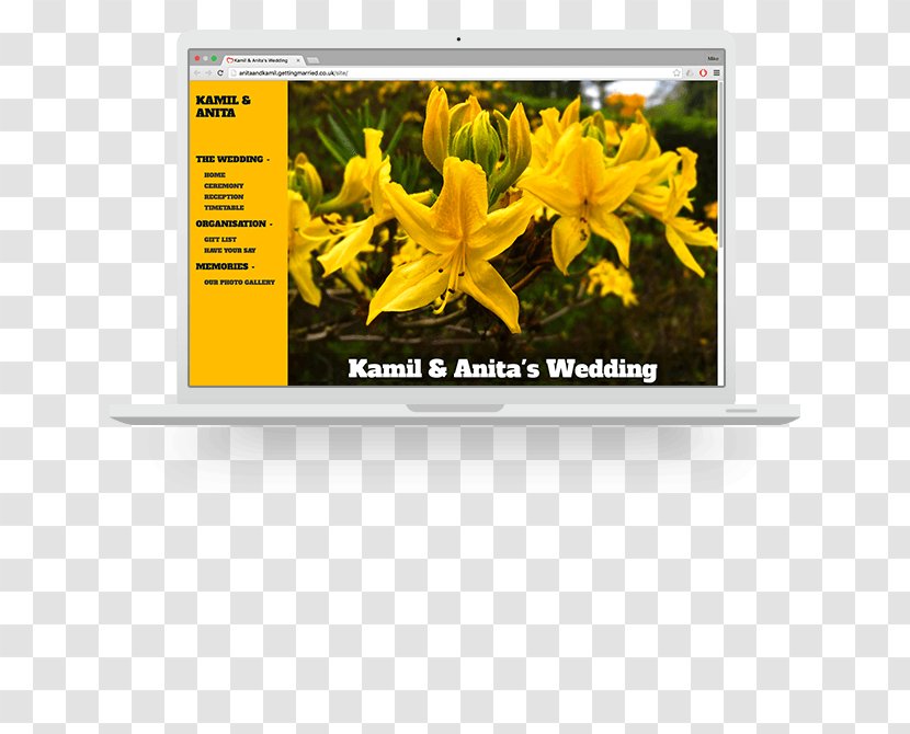 Personal Wedding Website Advertising Brand - Plant - Bunting Transparent PNG