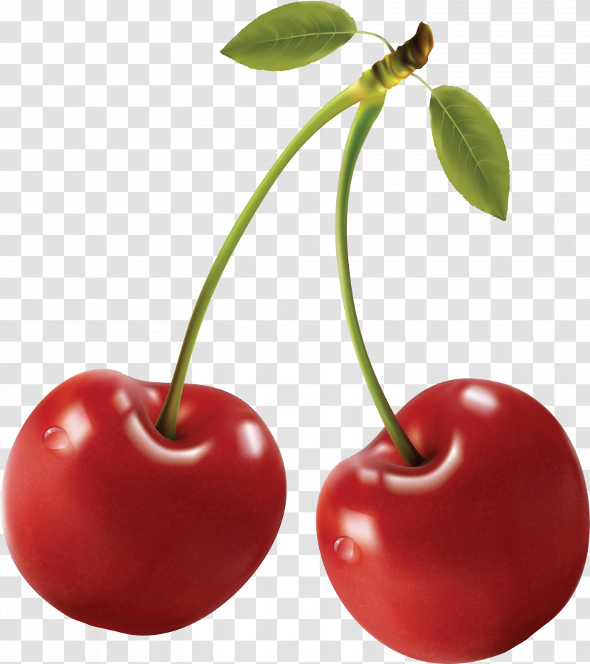 Cherry Royalty-free Fruit Berry Transparent PNG