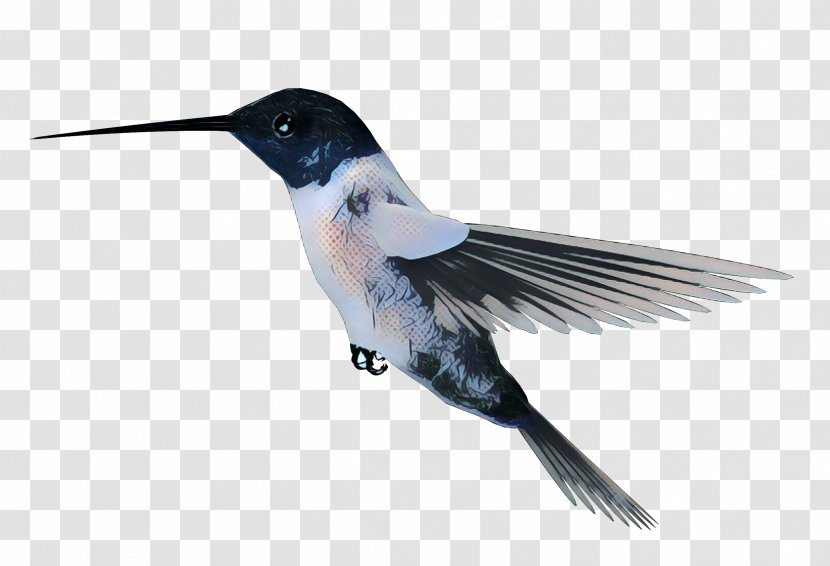 Bird Wing - Hummingbird - Flight Transparent PNG