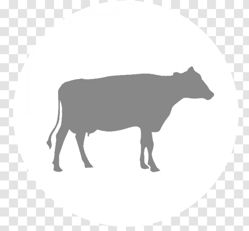 Dairy Cattle Calf Vector Graphics Clip Art - Working Animal - Silhouette Transparent PNG
