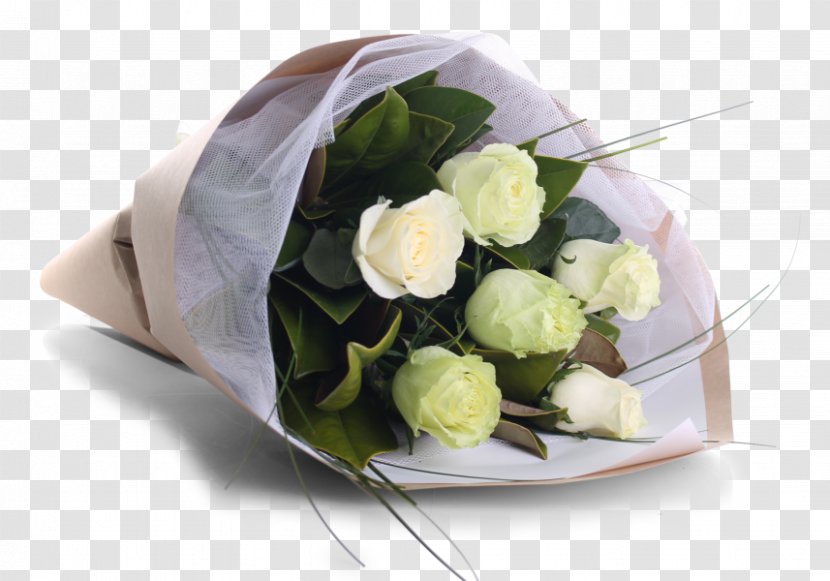 Rose Flower Bouquet Cut Flowers Floral Design - Party - Cream Transparent PNG