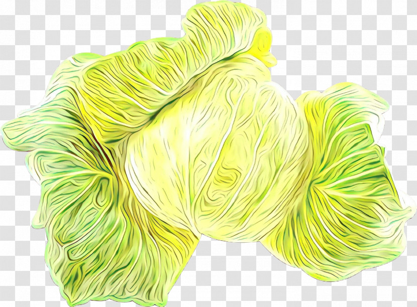 Green Yellow Thread Wool Textile Transparent PNG