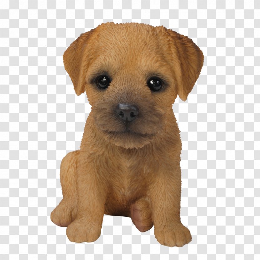 Border Terrier Yorkshire Puppy Airedale Bichon Frise - Dog Breed Group Transparent PNG