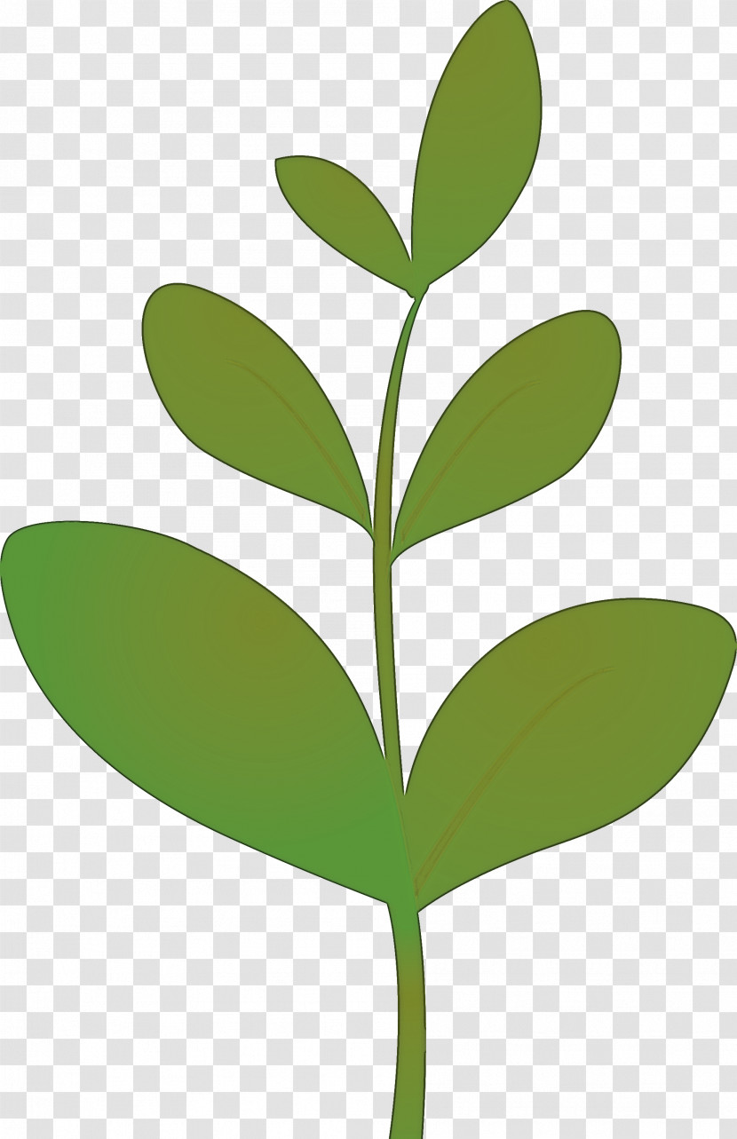 Sprout Bud Seed Transparent PNG