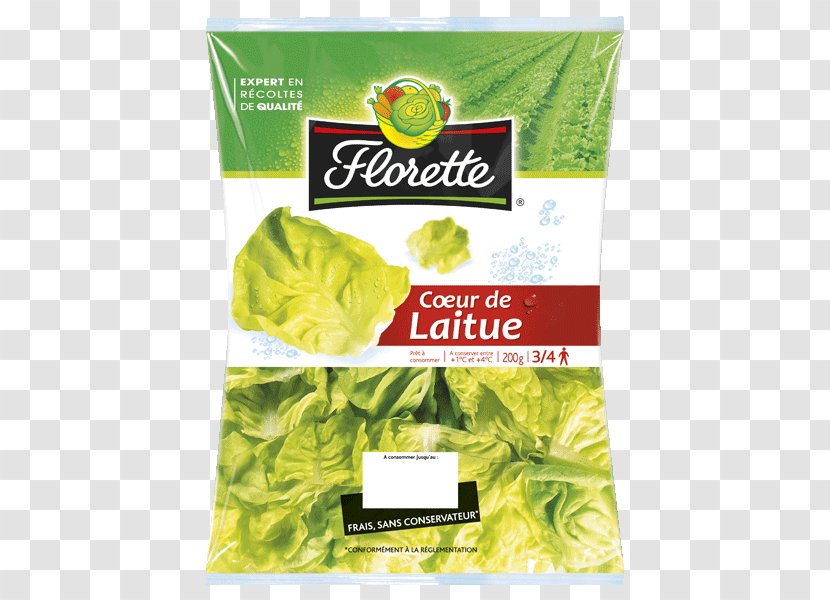 Romaine Lettuce Vegetarian Cuisine Food Basil Pimiento - Laitue Transparent PNG