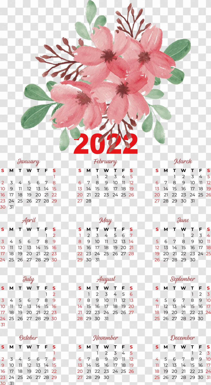 Flower Calendar Petal Meter Plant Transparent PNG