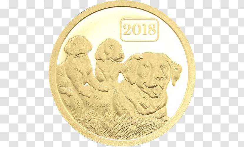 Gold Coin Canidae Dog Transparent PNG