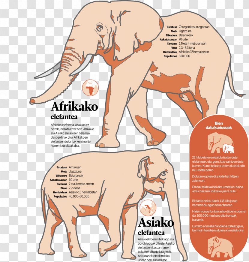 Indian Elephant African Wiki Loves Monuments Wikimedia Foundation - Newspaper Infographic Transparent PNG