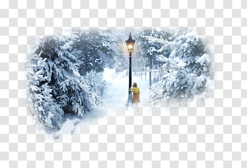 The Lion, Witch And Wardrobe Jadis White Lucy Pevensie Mr. Tumnus Susan - Church In Snow Transparent PNG