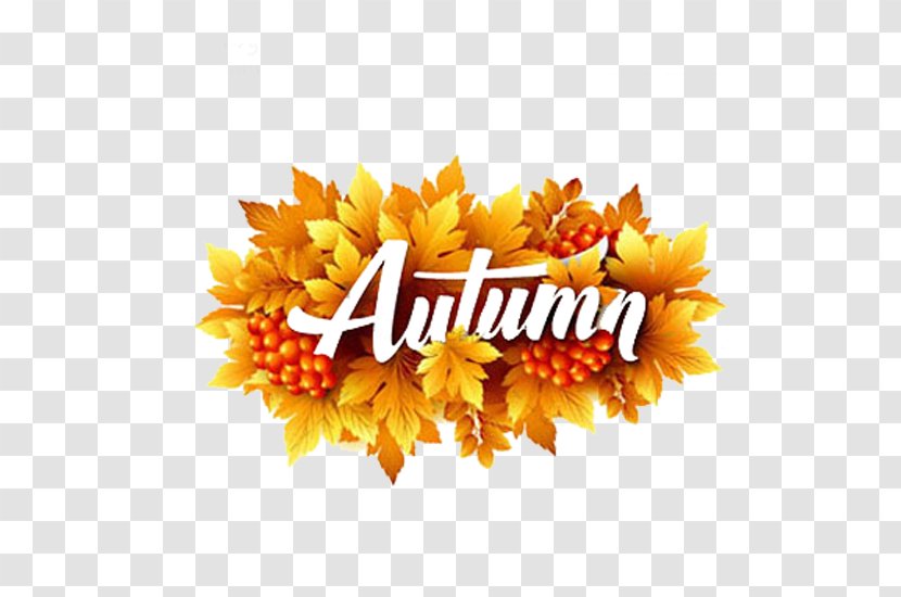 Four Seasons Hotels And Resorts Illustration - Flower Arranging - Autumn Maple Leaf Transparent PNG