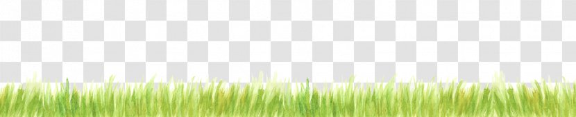 Desktop Wallpaper Grasses Sunlight Leaf Computer - Grassland Transparent PNG