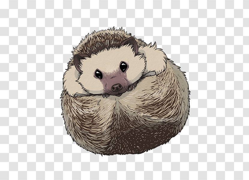 Domesticated Hedgehog Porcupine - Feral Animal Transparent PNG