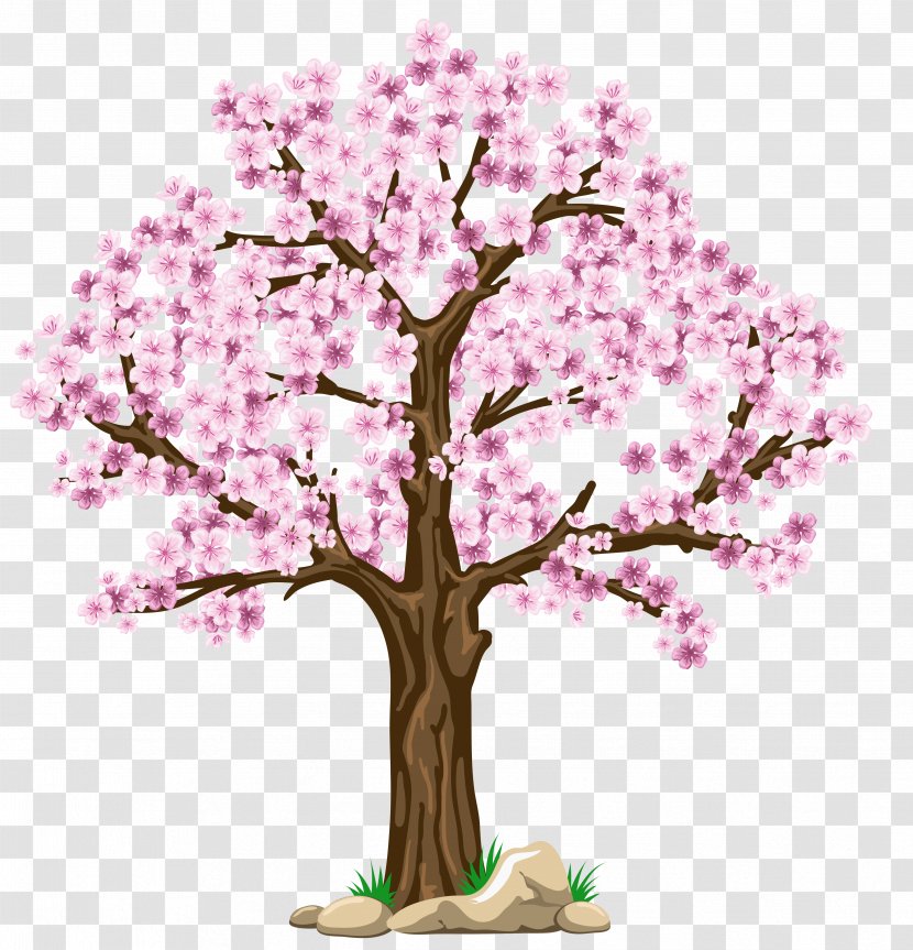 Tree Cherry Blossom Clip Art - Fir-tree Transparent PNG