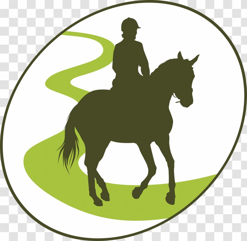 Horse Equestrian Endurance Riding Clip Art - Mustang Transparent PNG