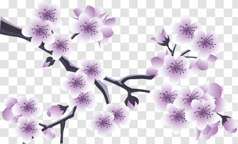 .az Flower .li .ru - Violet - World Wide Web Transparent PNG