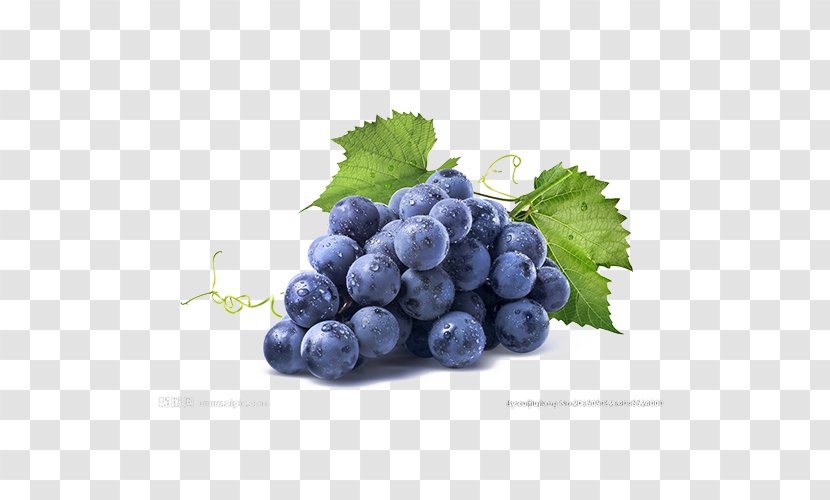 White Wine Kyoho Albarixf1o Concord Grape - Superfood - Blue Grapes Transparent PNG