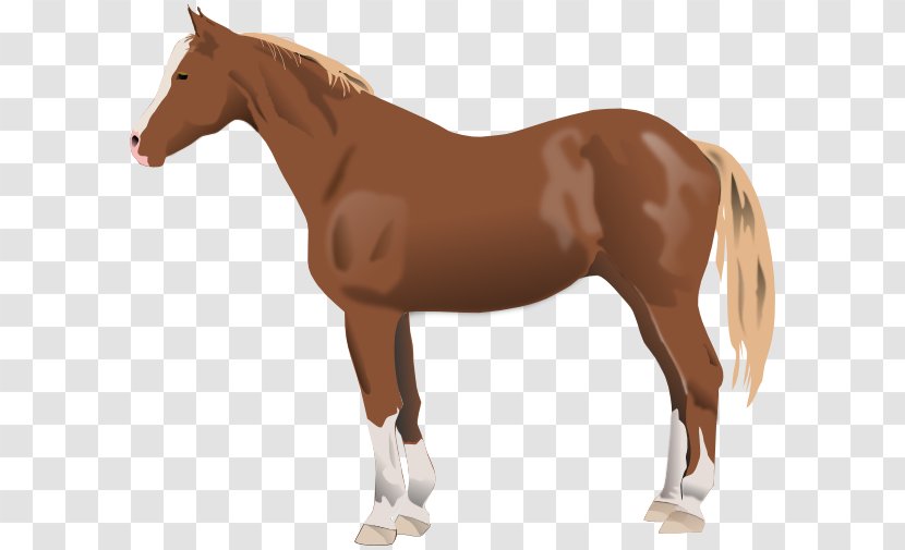 American Paint Horse Friesian Quarter Morgan Black Forest - Tack - Hand Transparent PNG