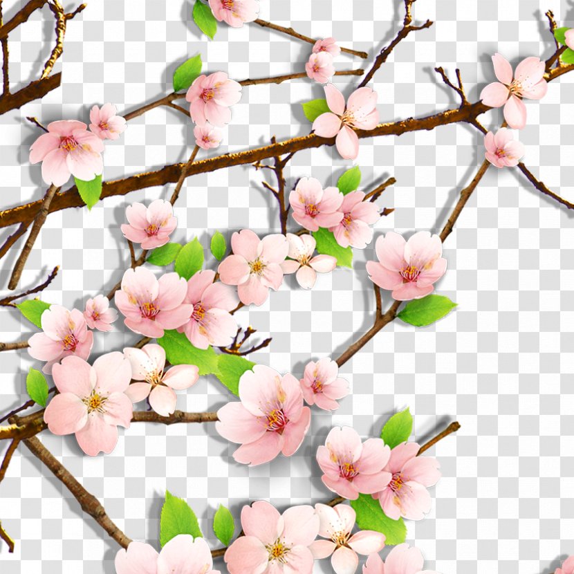 Cherry Blossom Clip Art - Blue - Plum Flower Transparent PNG