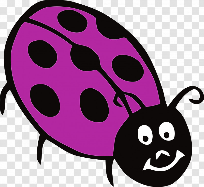 Insect Cartoon Snout Science Biology Transparent PNG