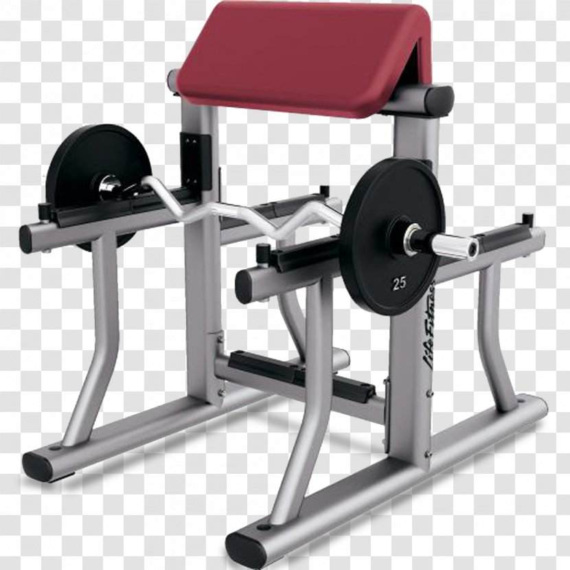 Bench Biceps Curl Weight Training Exercise Fitness Centre - Barbell Transparent PNG