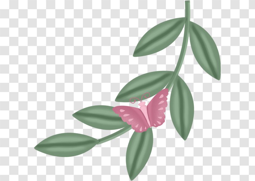 Butterfly Leaf - Leaf,butterfly Transparent PNG