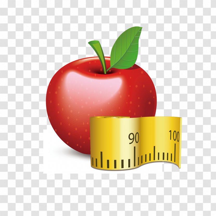 Sport Icon - Apple - Ruler Vector Transparent PNG