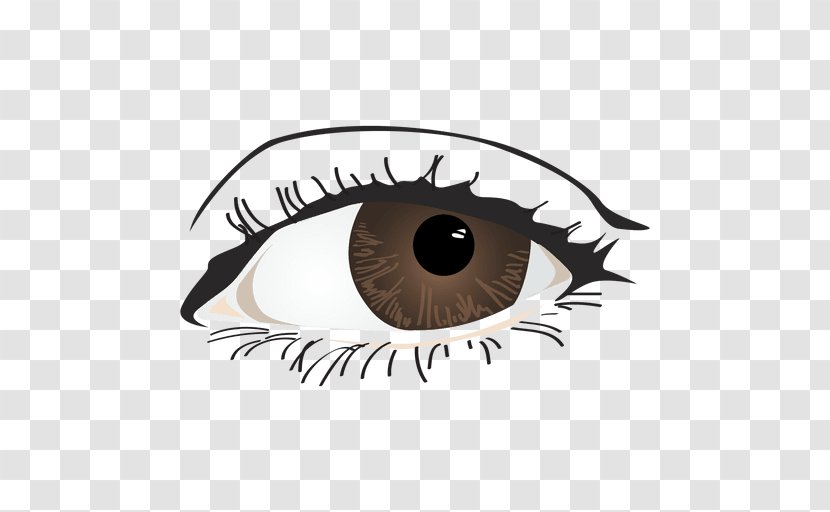 Eye Color Clip Art - Flower Transparent PNG