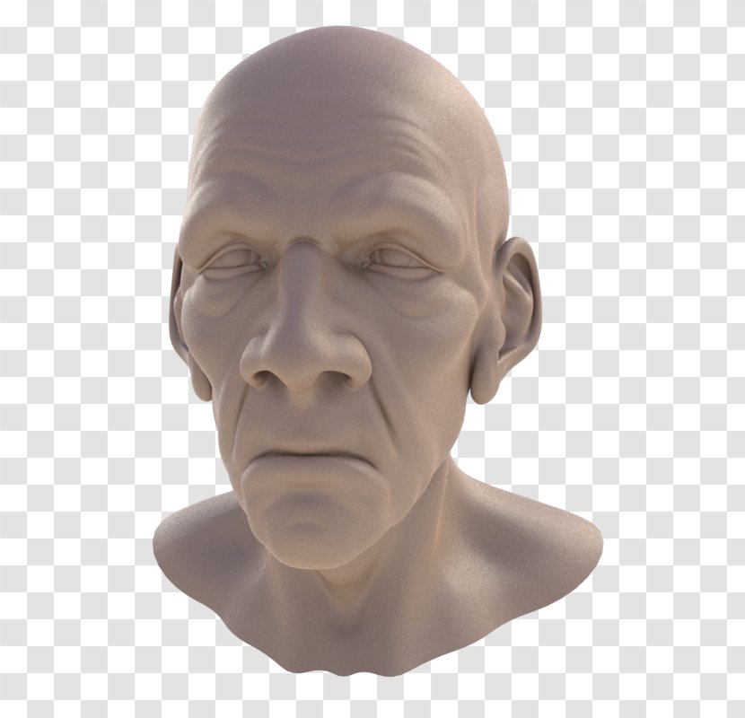 Autodesk Mudbox Bump Mapping Texture Nose Rendering - Sculpture - Knowledge Transparent PNG